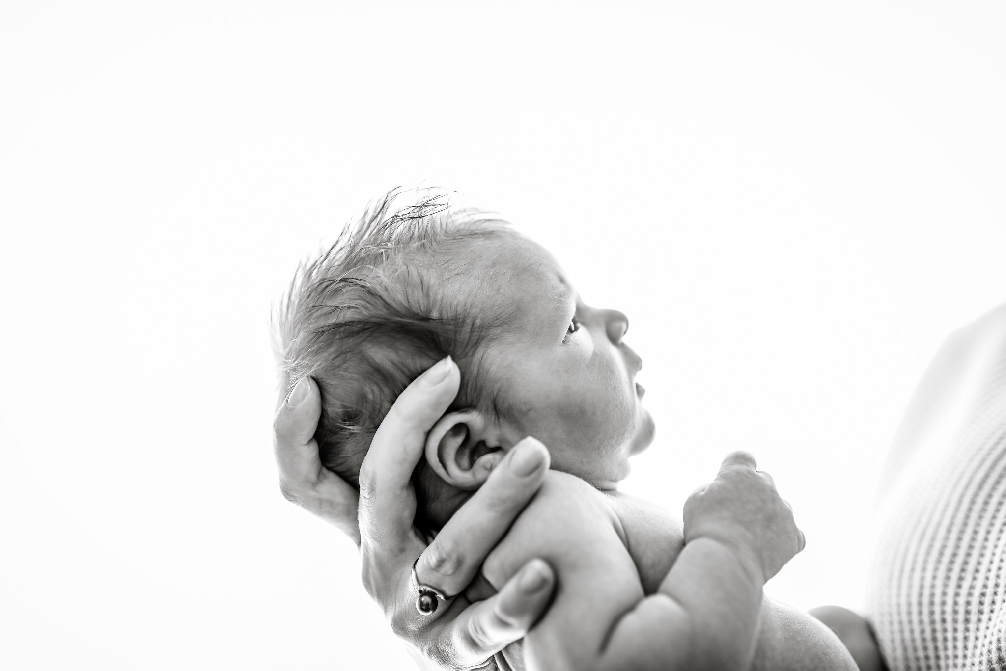 Newborn black and white studio portrait